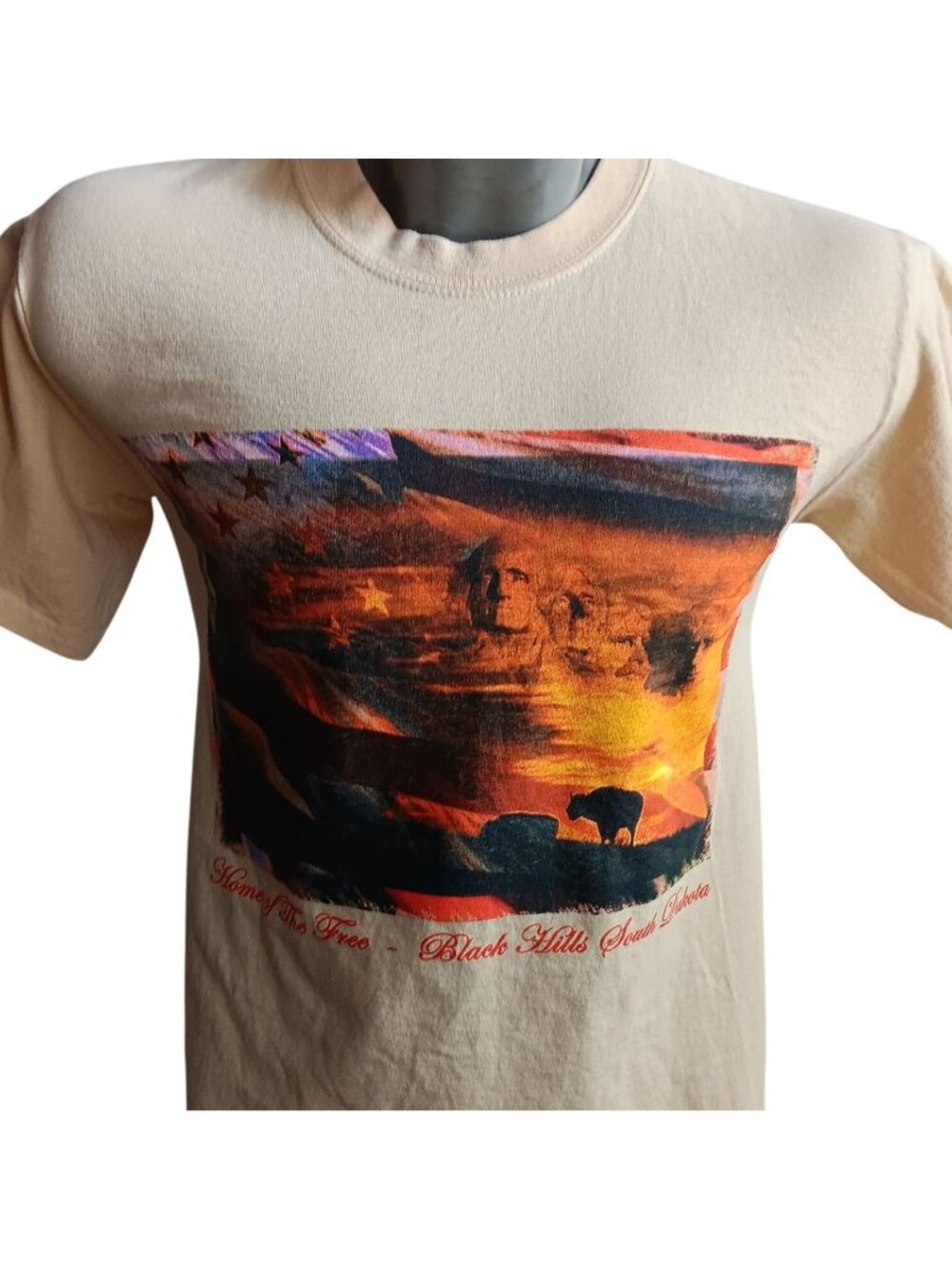 Vintage Men's T-shirt Small South Dakota Rushmore 1990's Black Hills Gildan Sml